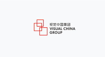 品牌logo設(shè)計(jì)